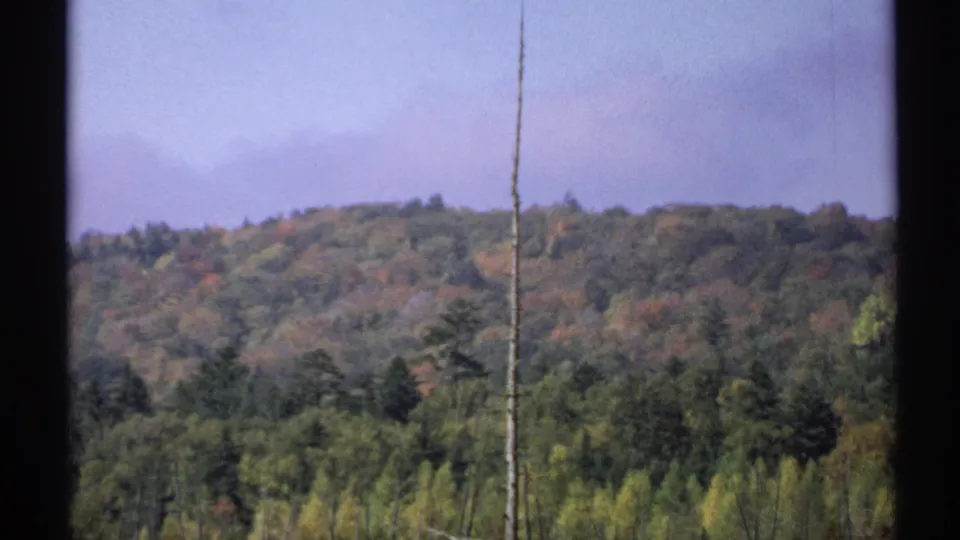 1971 New York 8mm frame showing distant wooded hills, green and autumn-colored treetops, pale sky, and a bare trunk in front.