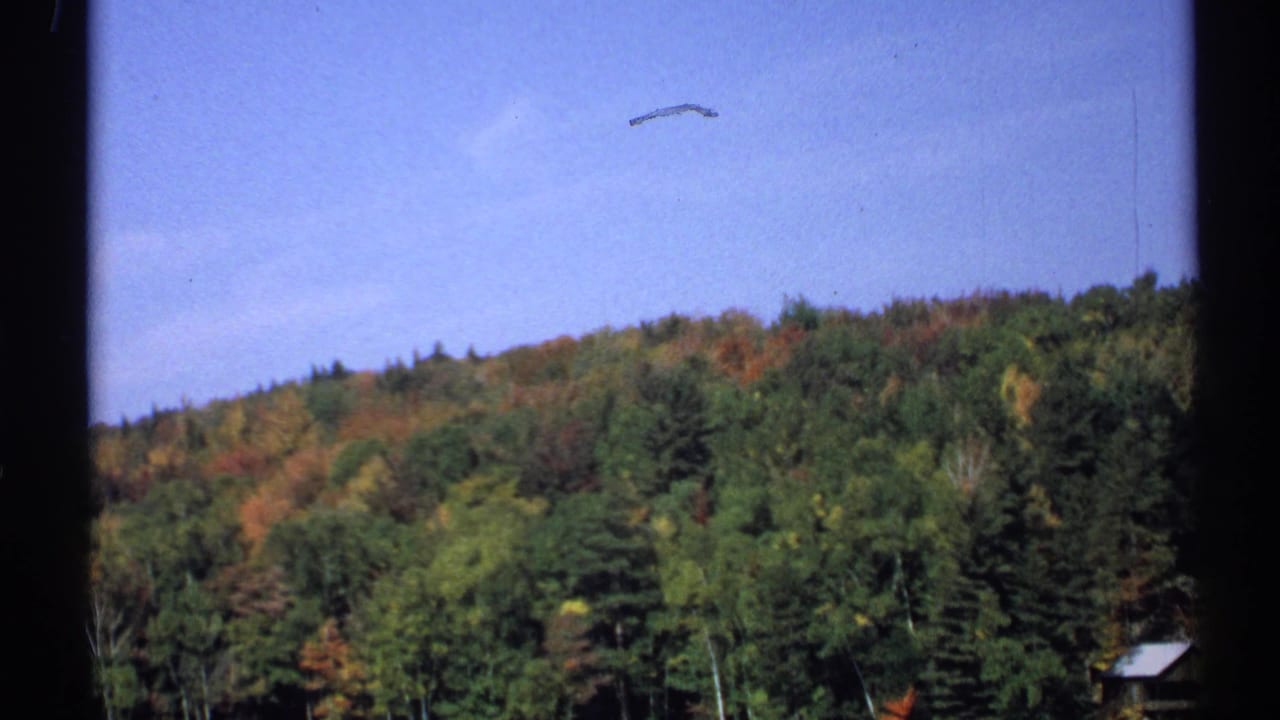 Autumn wooded hillside seen through dark window mullions under a blue sky.