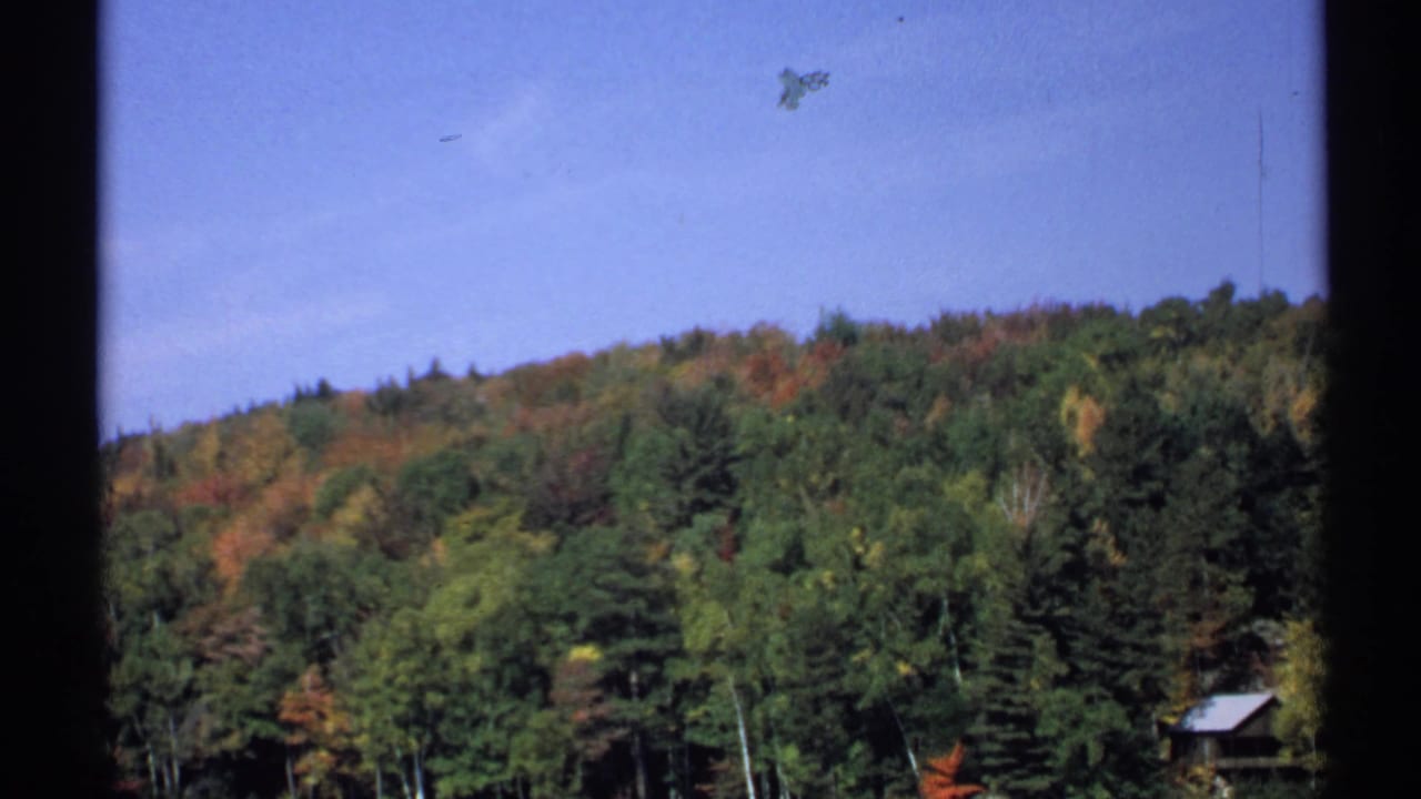1971 New York home-movie still of a tree-covered hillside, blue sky, window framing, and a small roofline among the trees.