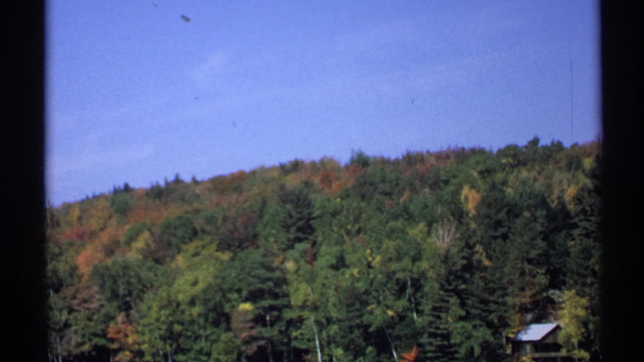 Small-gauge 1971 New York footage frame showing a wooded hill in fall color, partially divided by dark window bars.