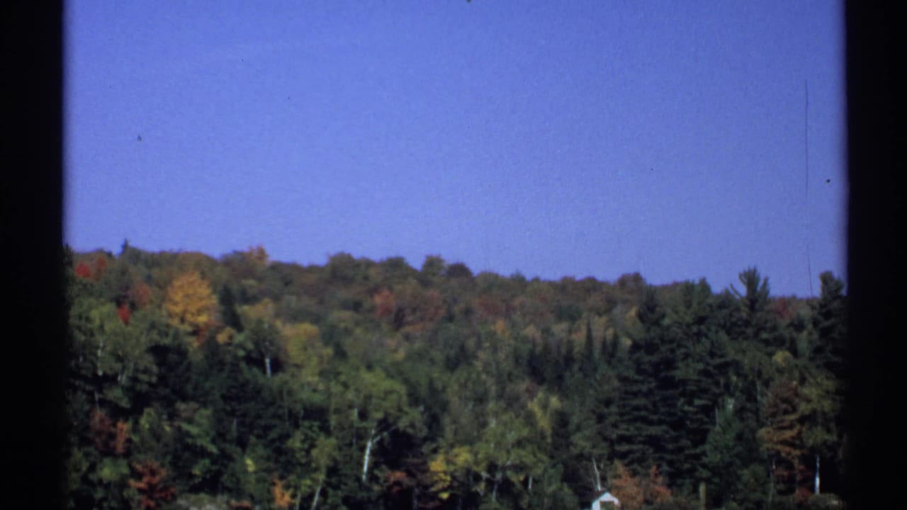 Forest canopy and blue sky framed by dark vertical film edges.
