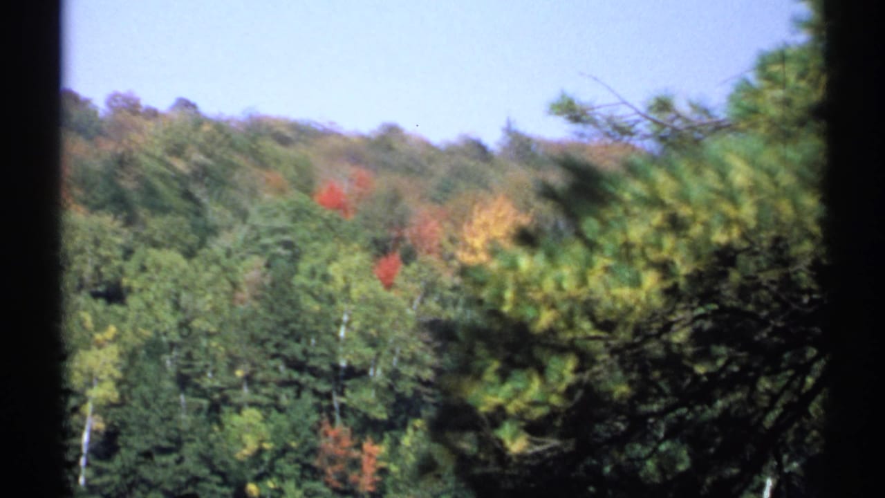 1971 New York 8mm frame showing a soft-focus autumn hillside with red and yellow foliage and blurred evergreen branches in front.