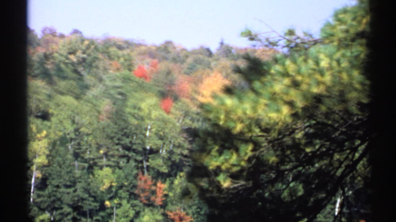 1971 New York 8mm frame showing an autumn forest slope with red, yellow, and green foliage, partly covered by foreground evergreen boughs.