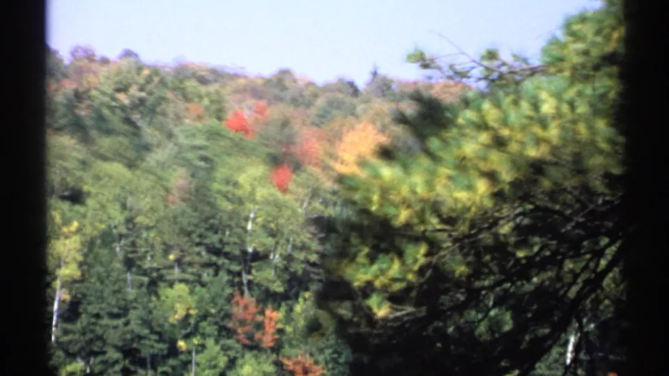1971 New York 8mm frame showing an autumn forest slope with red, yellow, and green foliage, partly covered by foreground evergreen boughs.