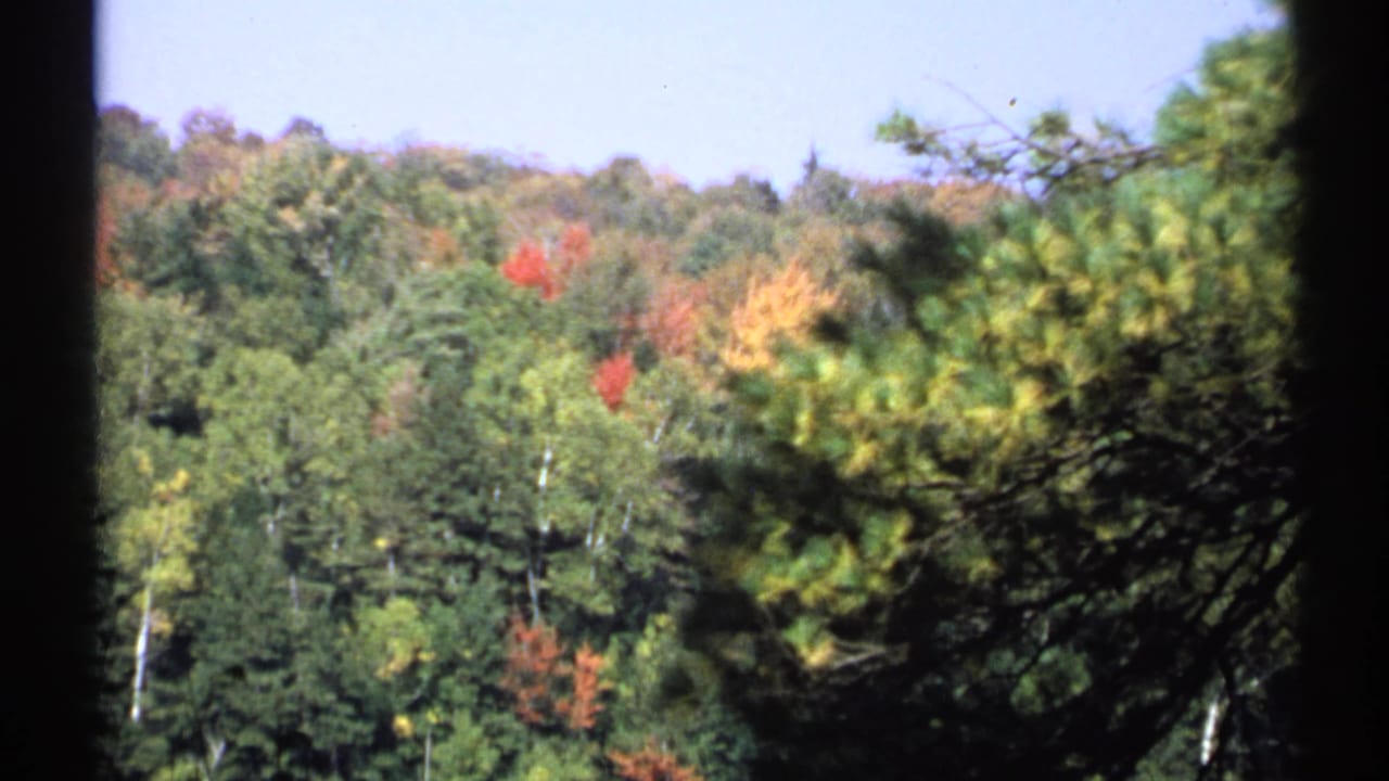 Autumn woods and lake seen through dark pine branches, with part of a cabin at the right edge.