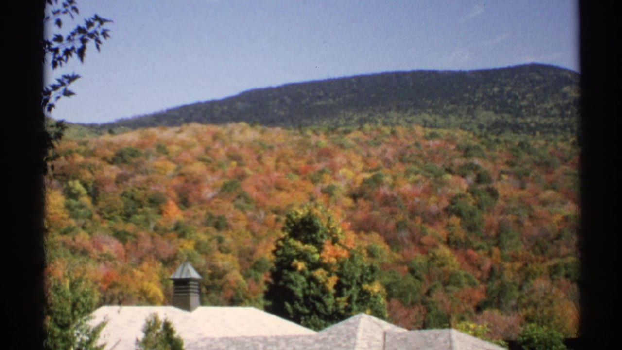 Wooded hillside in autumn color above pale station roofs.