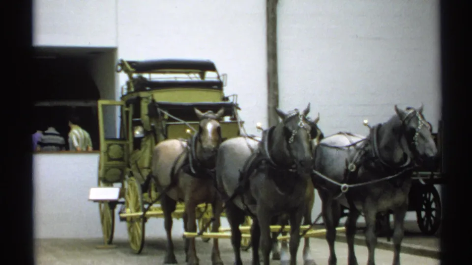 1971 New York home-movie frame showing harnessed horses and a carriage display indoors, with visitors partly visible at left.