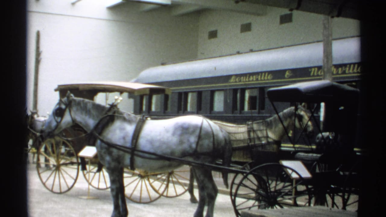 White horse harnessed to a black buggy in front of a Louisville & Nashville rail car.