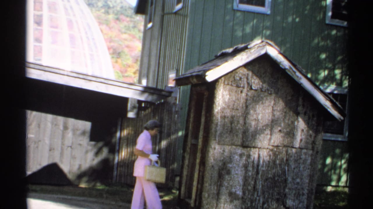 Woman in a pink outfit walks past a small weathered shed beside a green building.