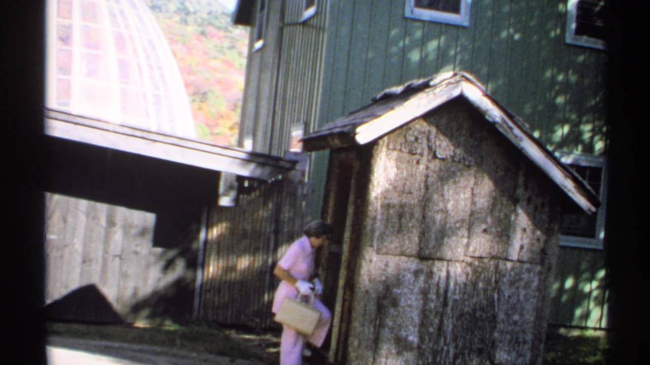 The woman in pink moves closer to a weathered shed, with green siding and a glass-domed structure visible behind her.