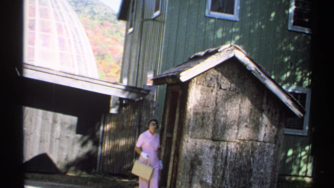 The woman in pink, carrying a purse, stands near the weathered shed in a sunlit New York 1971 outdoor home-movie scene.