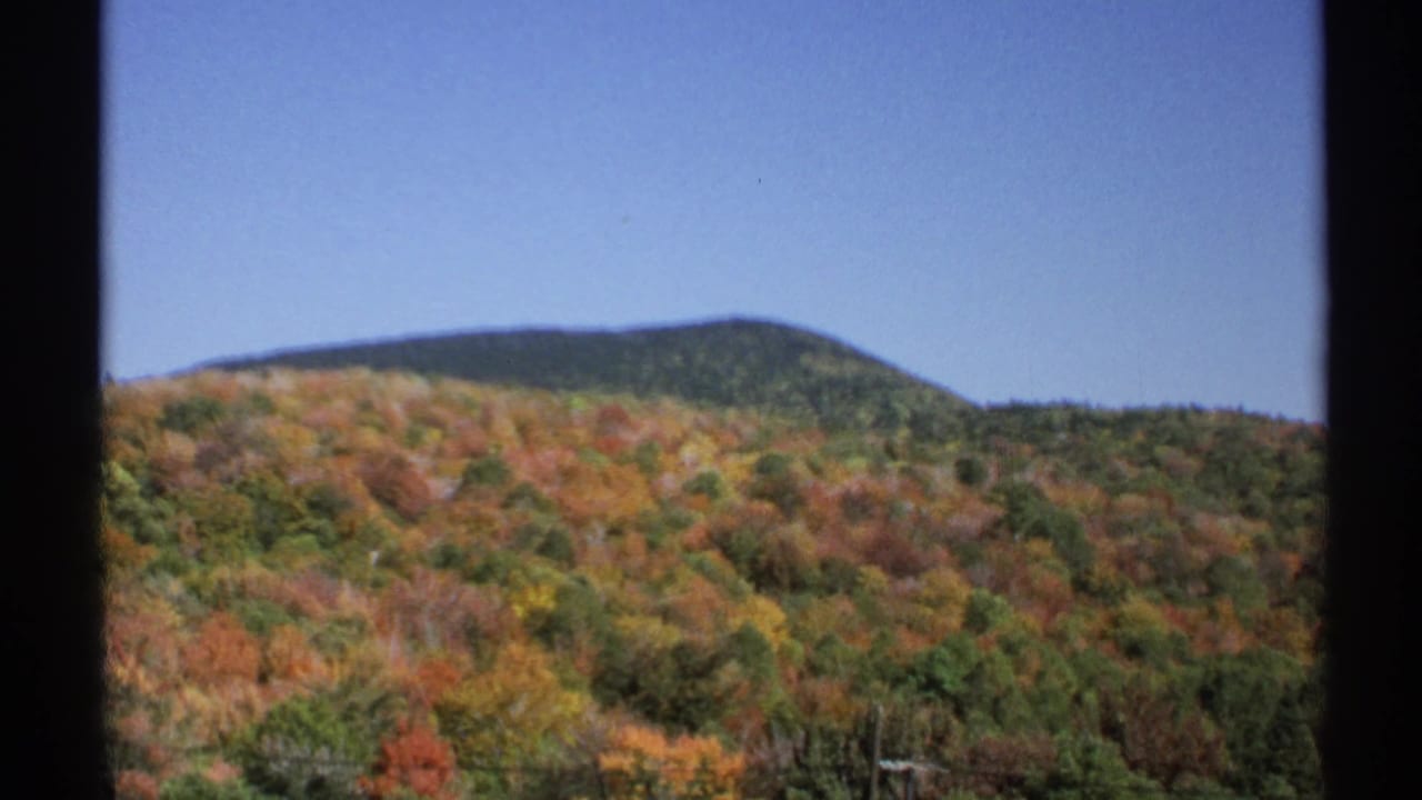 Vintage 8mm view of a New York autumn hillside, with multicolored trees rising toward a dark ridgeline beneath open blue sky.