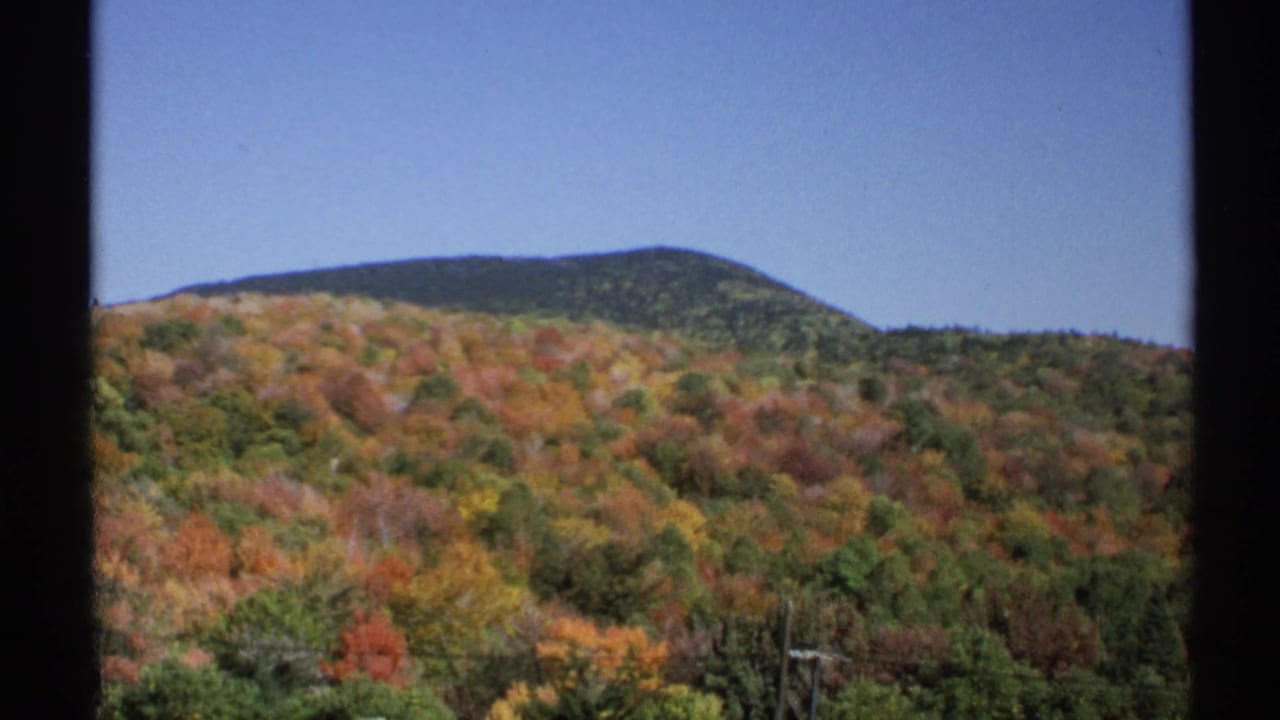 Forested hillside with autumn-colored trees under a blue sky, divided by dark frame edges.