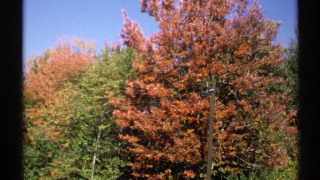 1971 New York 8mm frame with orange fall trees and green foliage viewed through dark vertical frame or window divisions.