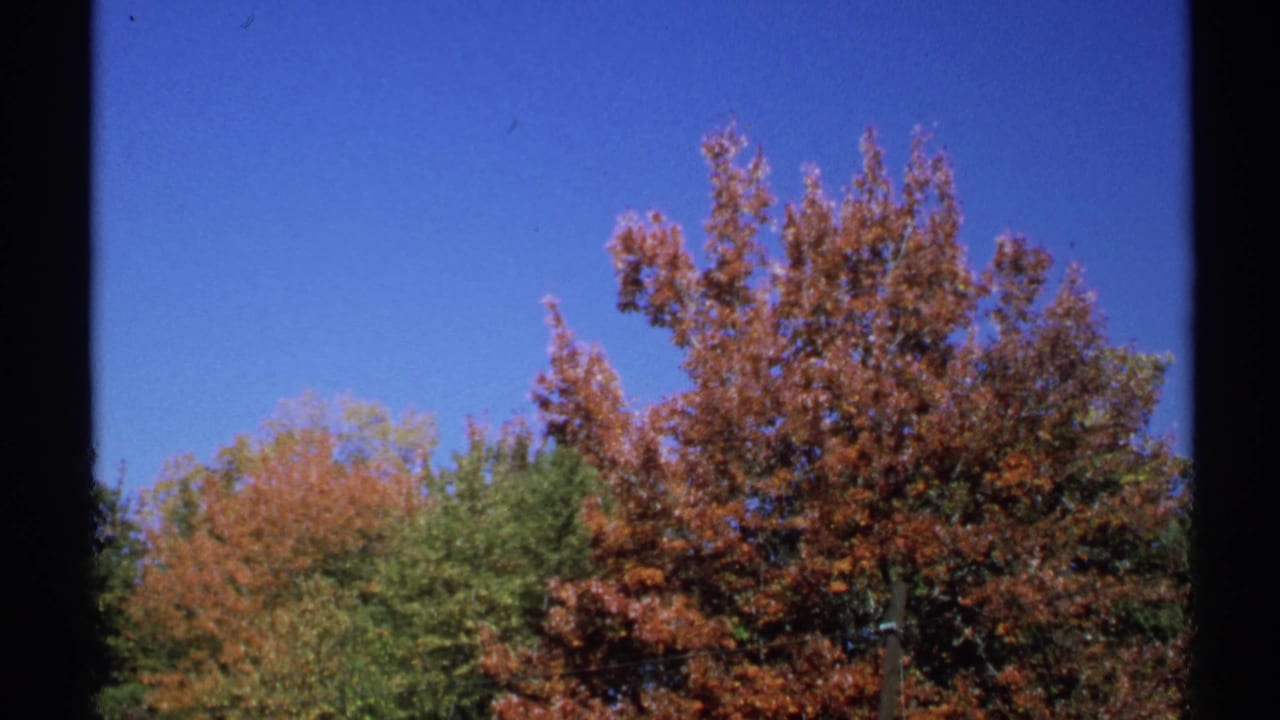 1971 New York 8mm view of autumn treetops with red-orange leaves, green trees, blue sky, and visible film-frame borders.