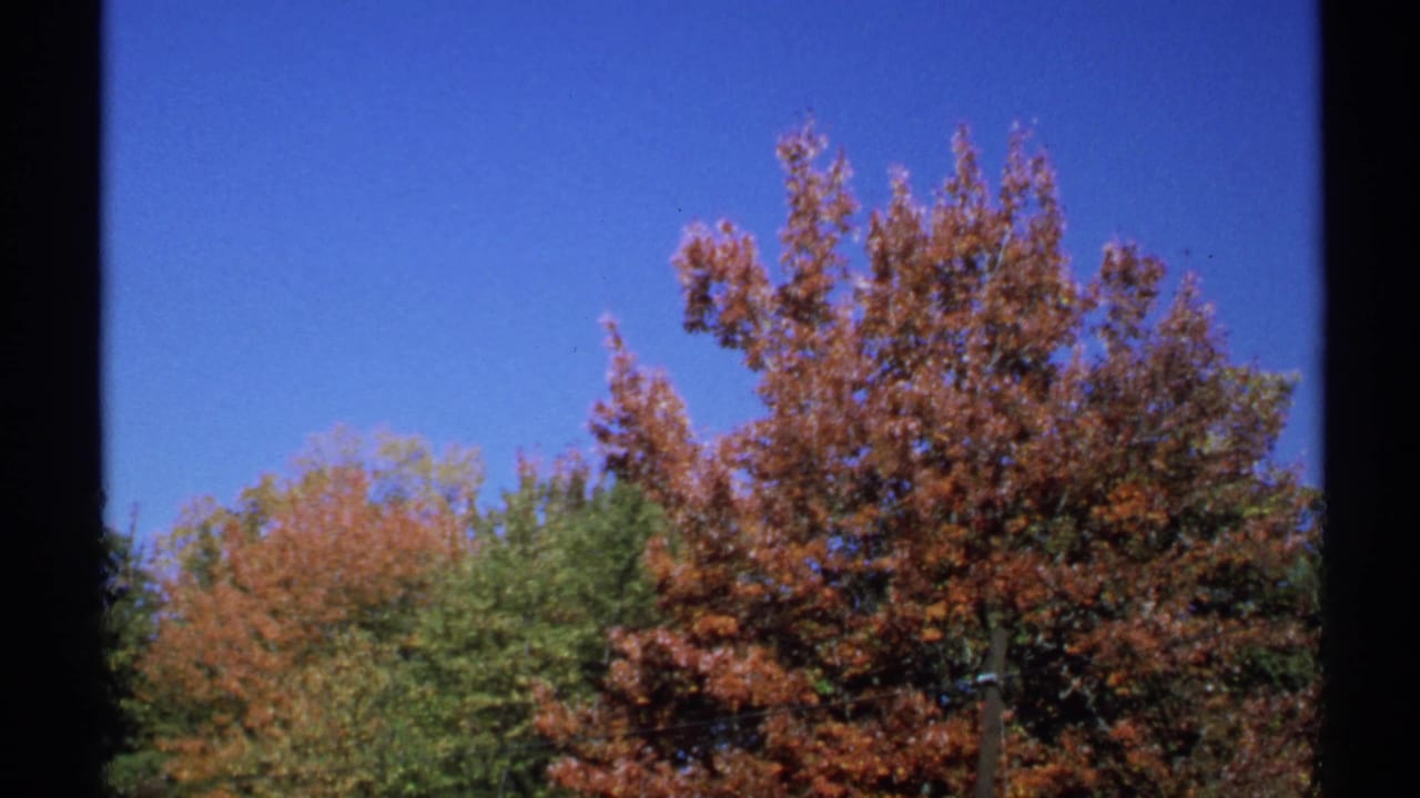 1971 New York home-movie frame of red-orange autumn foliage, green background trees, and clear sky with 8mm gate edges visible.
