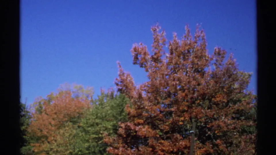 1971 New York home-movie frame of red-orange autumn foliage, green background trees, and clear sky with 8mm gate edges visible.