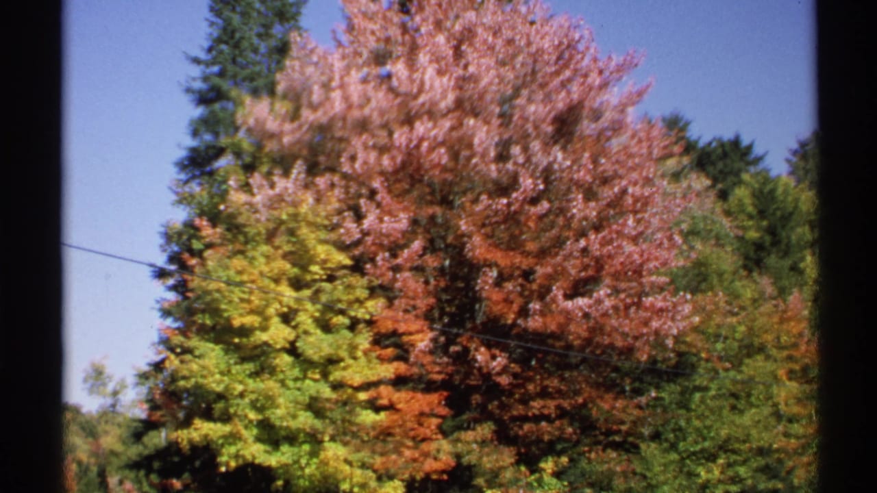 1971 New York 8mm view of red and yellow fall trees with green conifers, blue sky, and a faint utility line near the wooded slope.