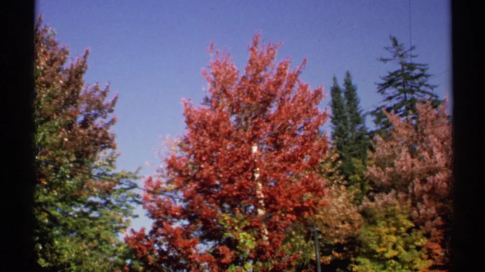 1971 New York 8mm frame showing red autumn foliage and green trees beneath a clear blue sky.