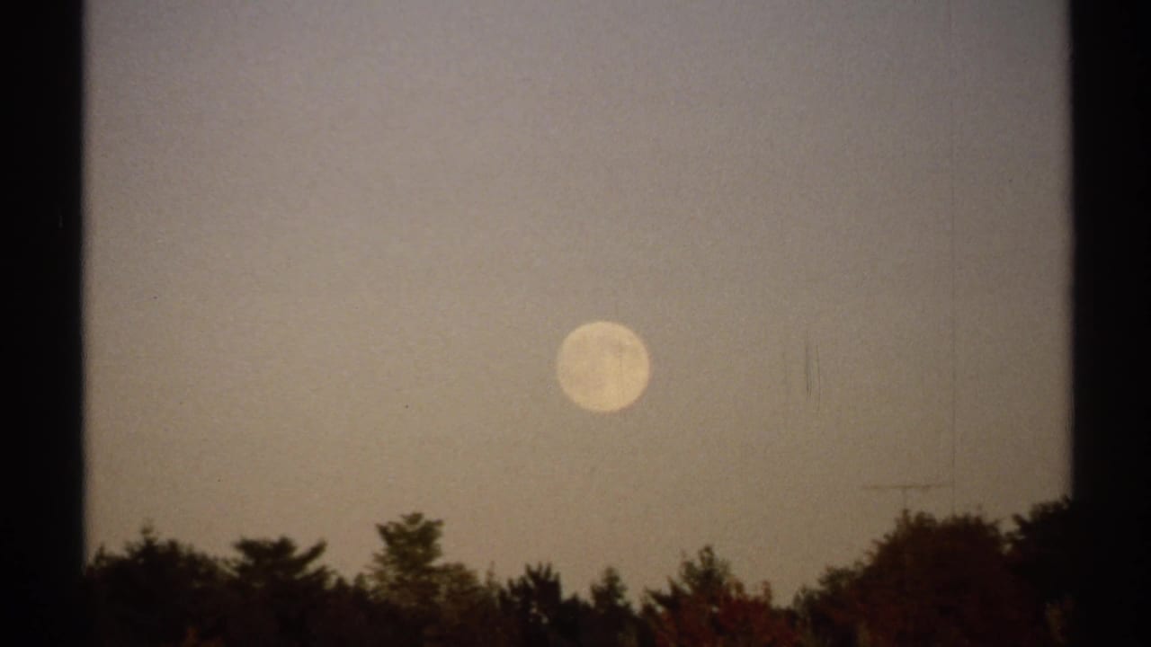 1971 New York 8mm frame with a nearly full moon suspended over a shadowed treeline at dusk.