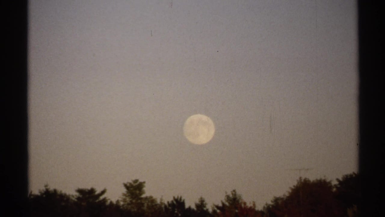 Pale round sun above a dark tree-lined horizon at dusk.