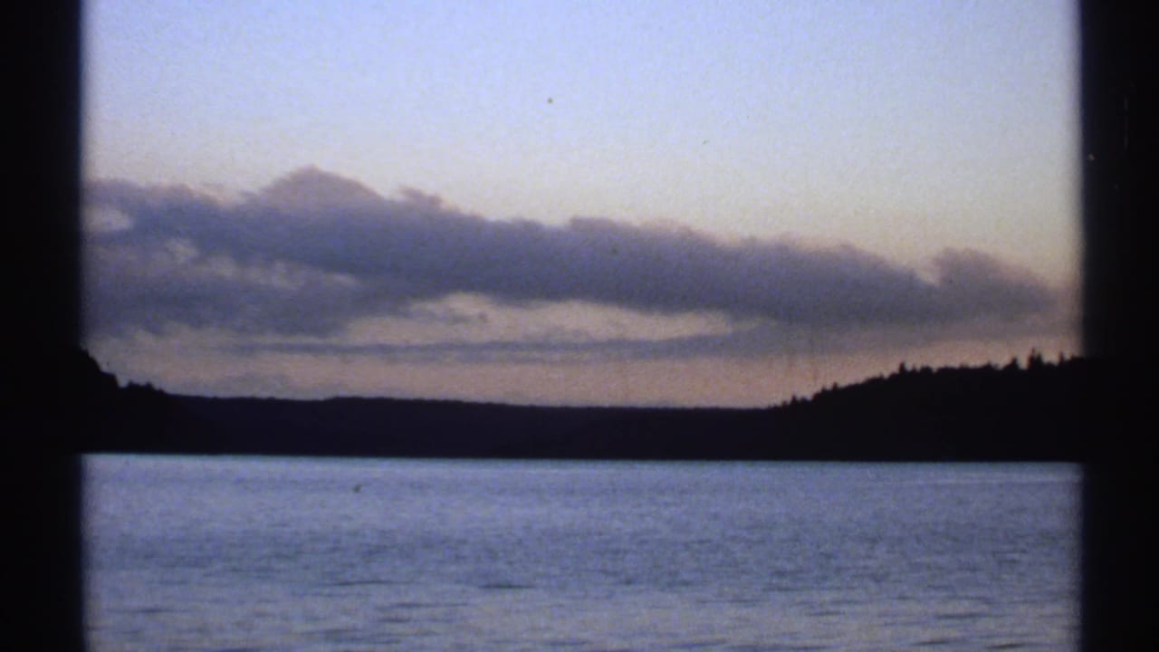 Calm water and distant tree line seen through dark window bars at dusk.