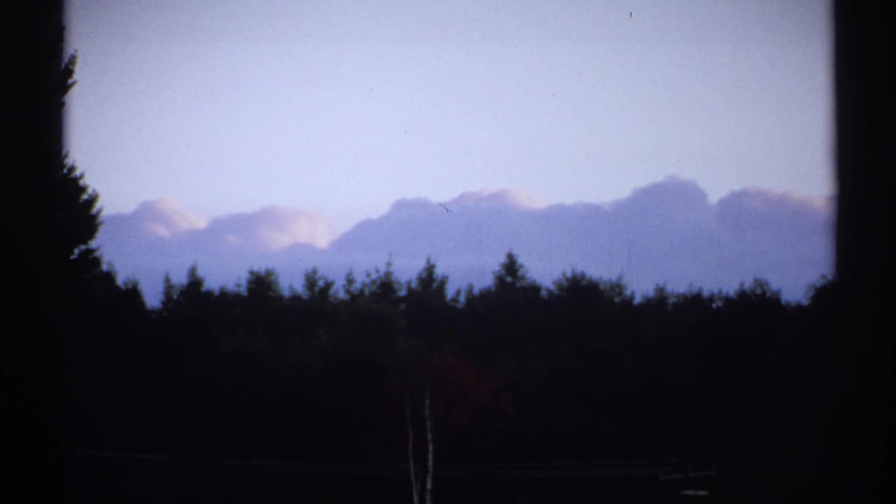 1971 New York 8mm frame of silhouetted trees in the foreground with bluish twilight clouds and distant hills or mountains.