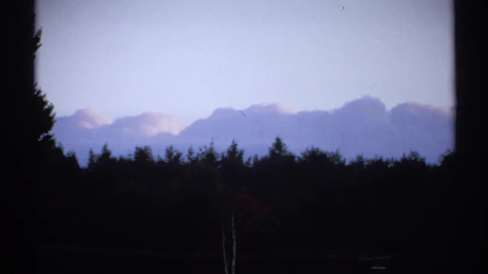 1971 New York 8mm frame of silhouetted trees in the foreground with bluish twilight clouds and distant hills or mountains.