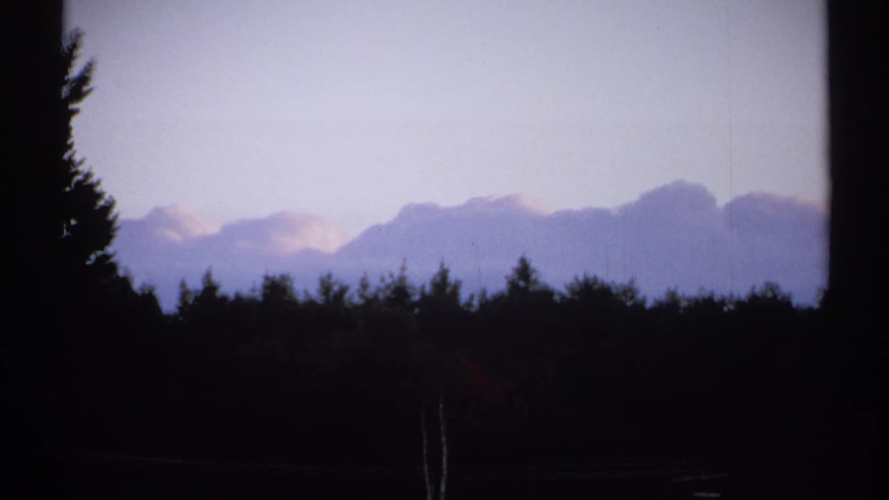 1971 New York 8mm frame showing silhouetted evergreen trees beneath a pale evening sky and soft cloud banks.