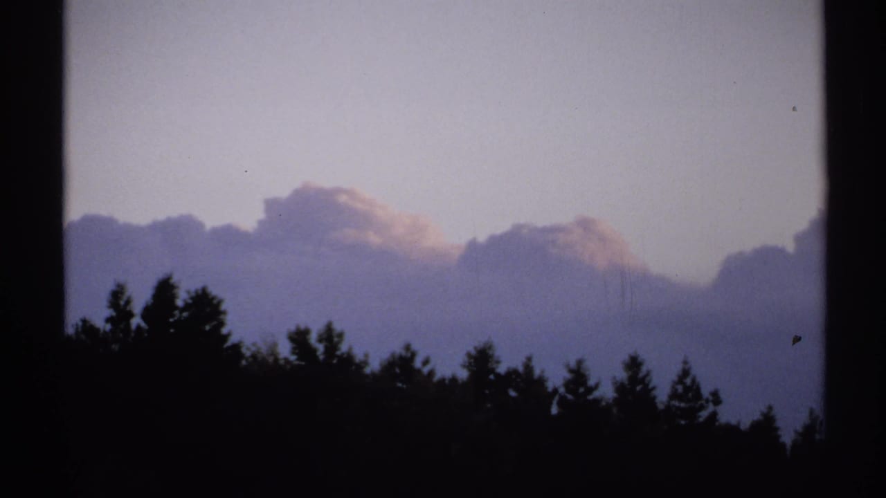1971 New York 8mm frame with dark trees in the foreground and purple-gray clouds stretching across the sky.