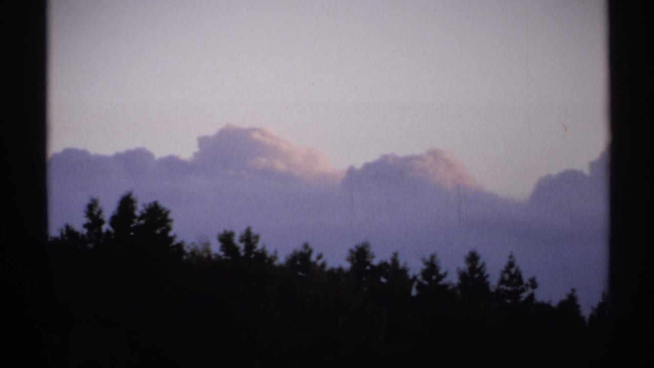 1971 New York 8mm frame showing tree silhouettes and broad dusk clouds with soft pink and purple tones.