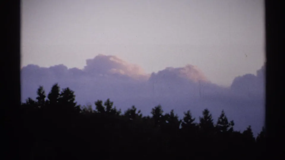 1971 New York 8mm frame showing tree silhouettes and broad dusk clouds with soft pink and purple tones.
