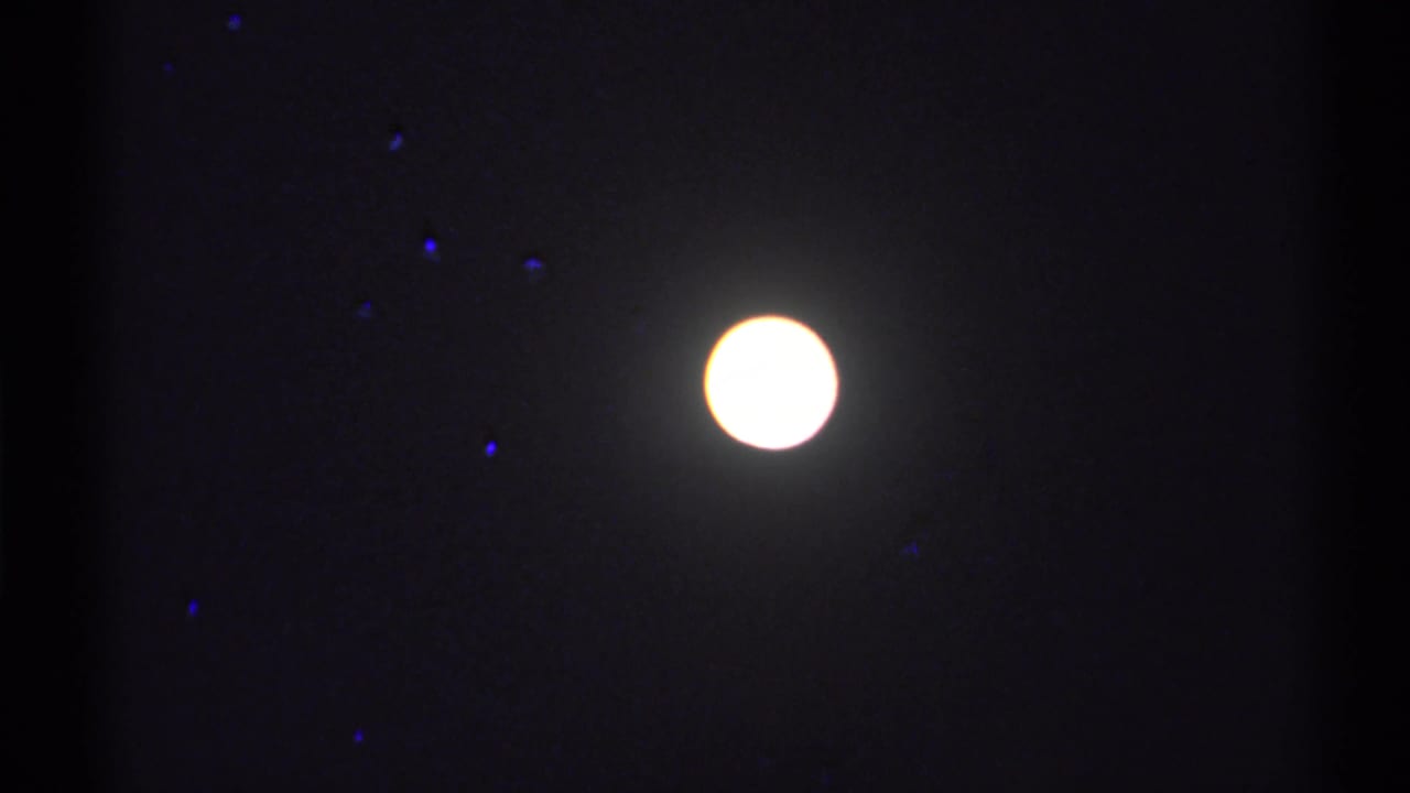 Glowing moon in a dark night sky, with visible 8mm grain and small colored specks in the frame.