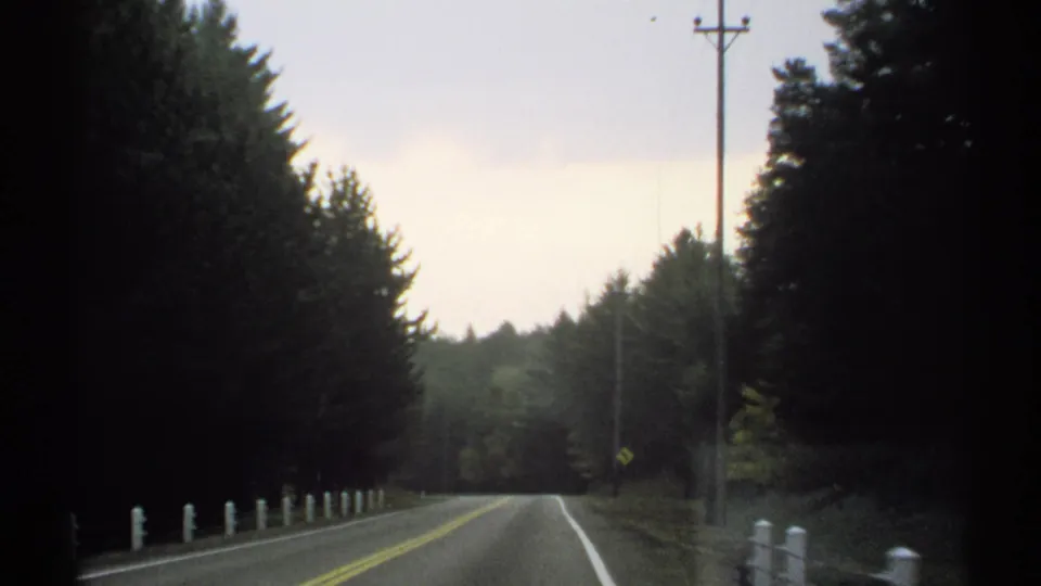 A driver's-eye 8mm view of a New York forest road, with utility poles and white posts lining the roadside.