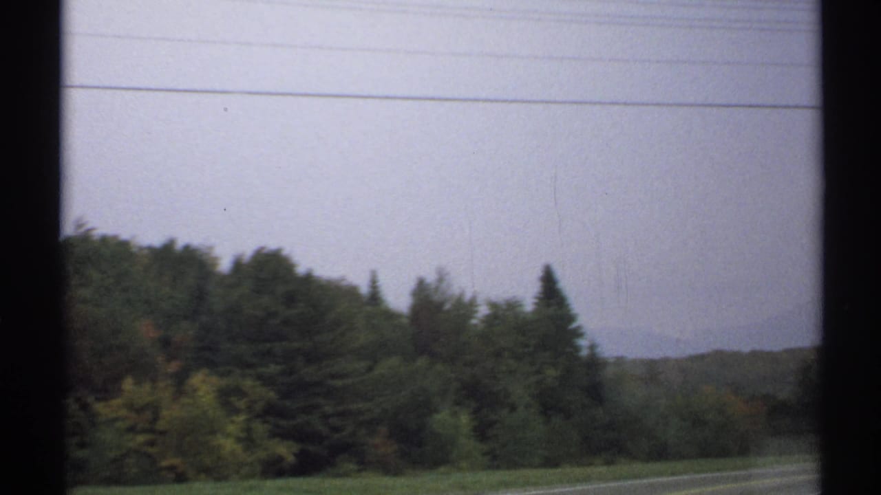 Soft 8mm view of trees along a rural New York roadside, with a hazy mountain ridge visible beyond the woods.