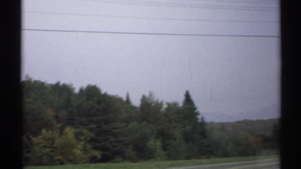 Soft 8mm view of trees along a rural New York roadside, with a hazy mountain ridge visible beyond the woods.