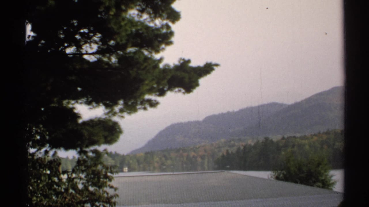 1971 New York lakeside view with a central tree trunk, forested shoreline, and hazy mountain ridges.