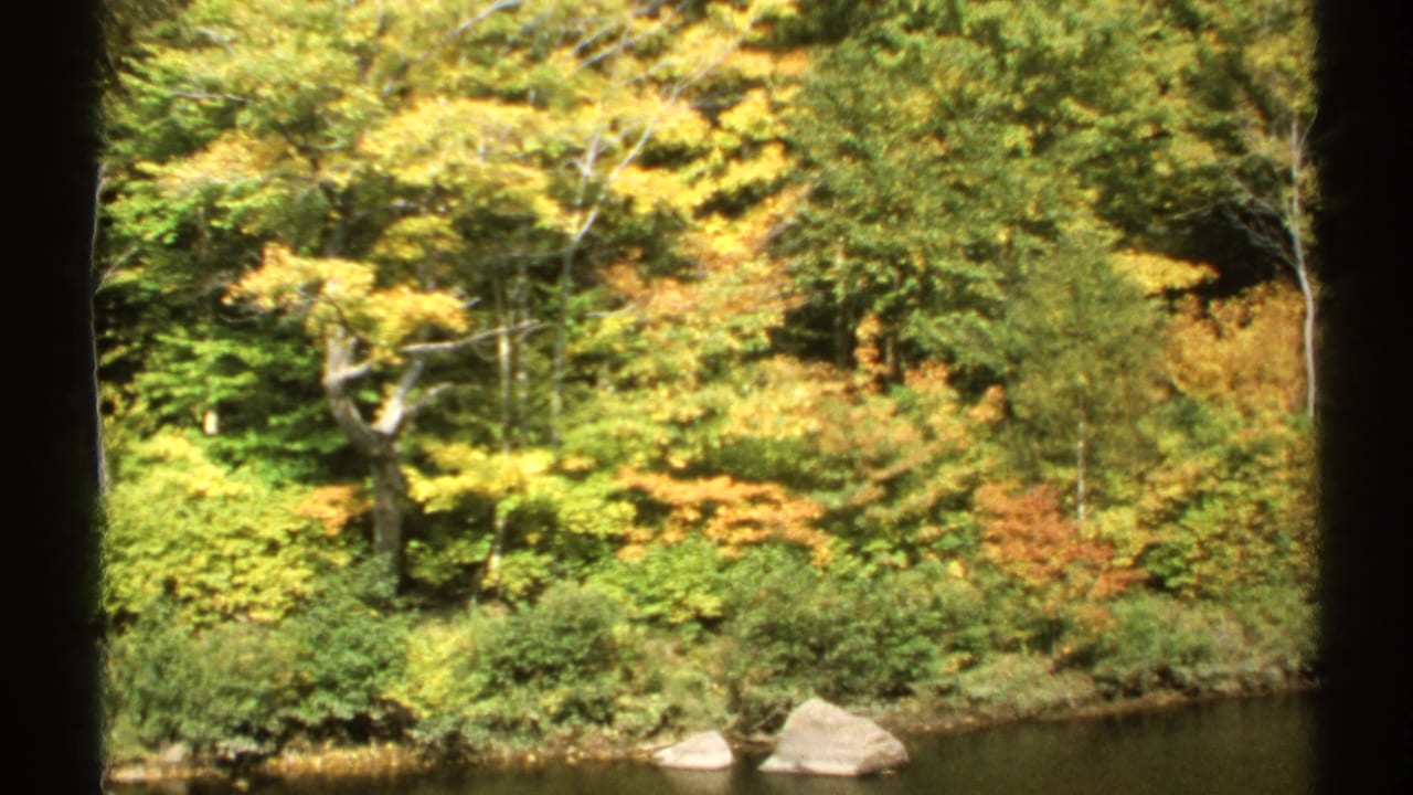 1971 New York 8mm view of dense autumn trees, lakeshore rocks, and still water seen through a dark window frame.