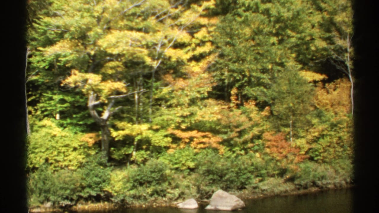 1971 New York home-movie frame showing fall foliage, dense shrubs, shoreline rocks, and calm lake or pond water.