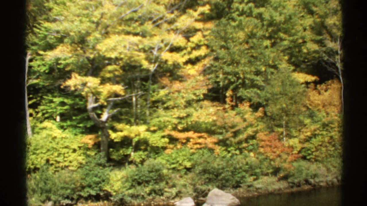 1971 New York 8mm still of autumn woodland beside calm water, with shoreline rocks and a dark window edge at frame side.