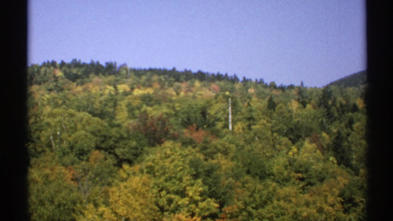 1971 8mm New York hillside view with a tree-covered ridge, early autumn color, pale sky, and a utility pole.