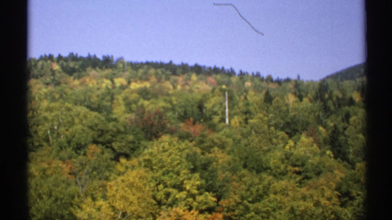 1971 New York 8mm frame of a wooded autumn hillside with green and yellow foliage, blue sky, and a utility pole visible near the ridge.