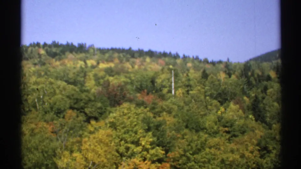 1971 New York 8mm view across a rolling wooded hill with mixed green, yellow, and orange foliage under clear blue sky.