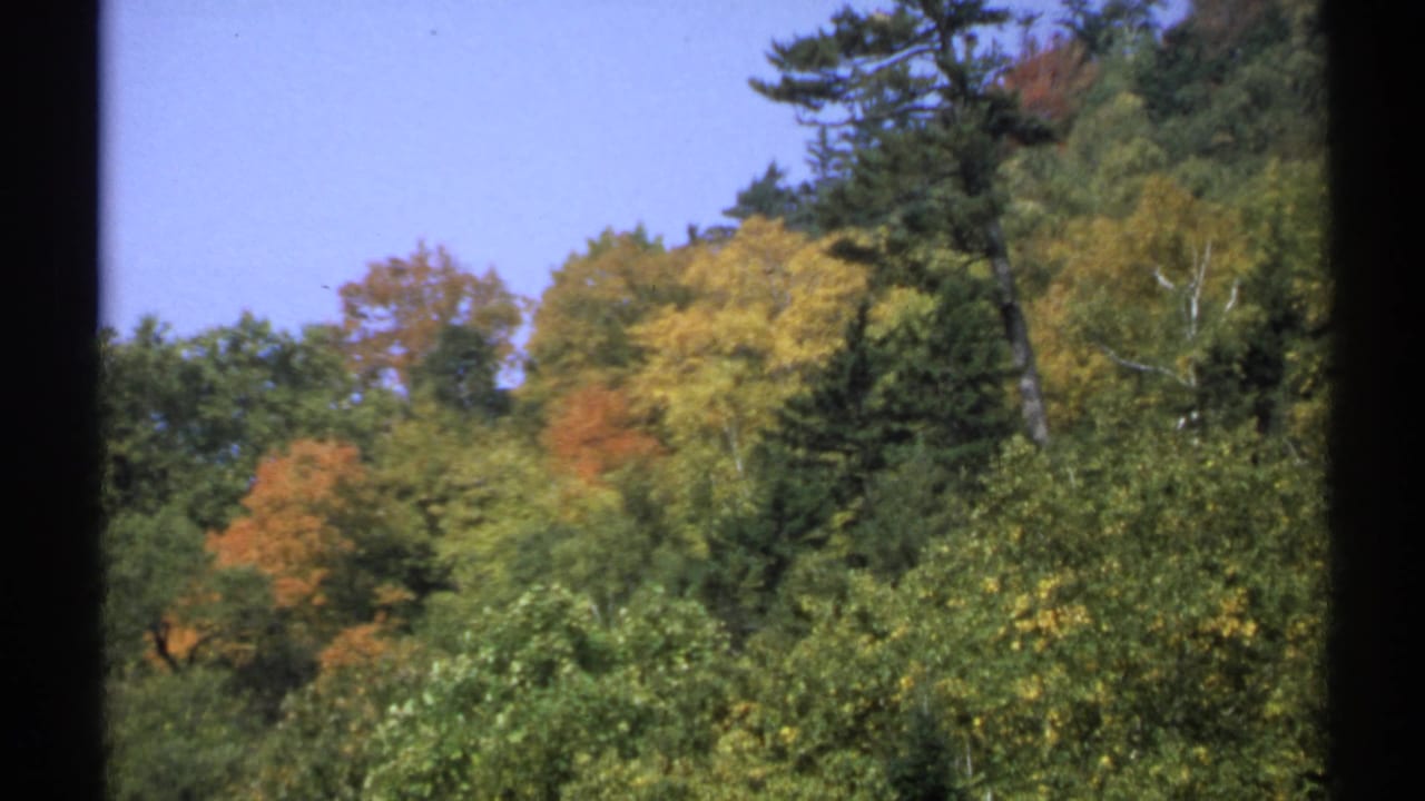 1971 New York 8mm frame showing mixed autumn foliage on a wooded mountainside beneath clear blue sky.