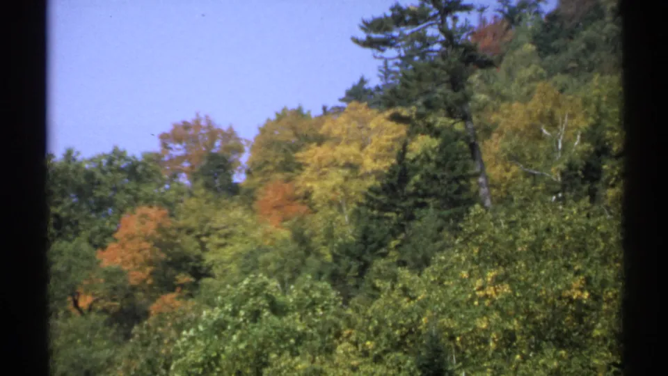 1971 New York 8mm frame showing mixed autumn foliage on a wooded mountainside beneath clear blue sky.