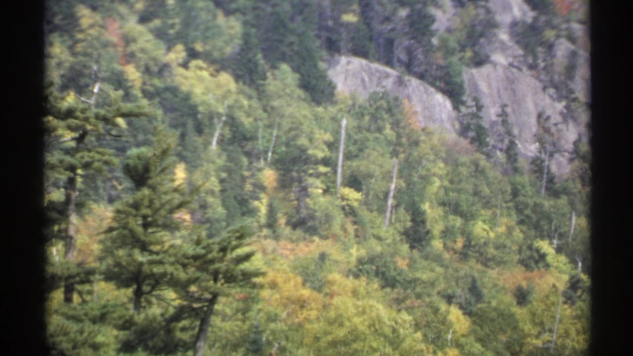 1971 New York 8mm frame showing a wooded mountainside with evergreens, deciduous trees, early autumn color, and exposed rock.