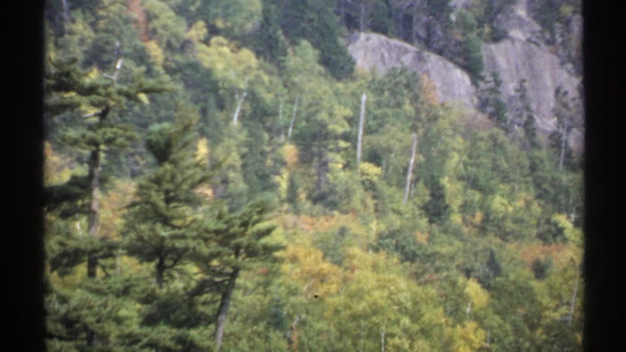 1971 New York home-movie frame of dense forest and exposed rock on a mountainside, seen through dark vertical foreground edges.