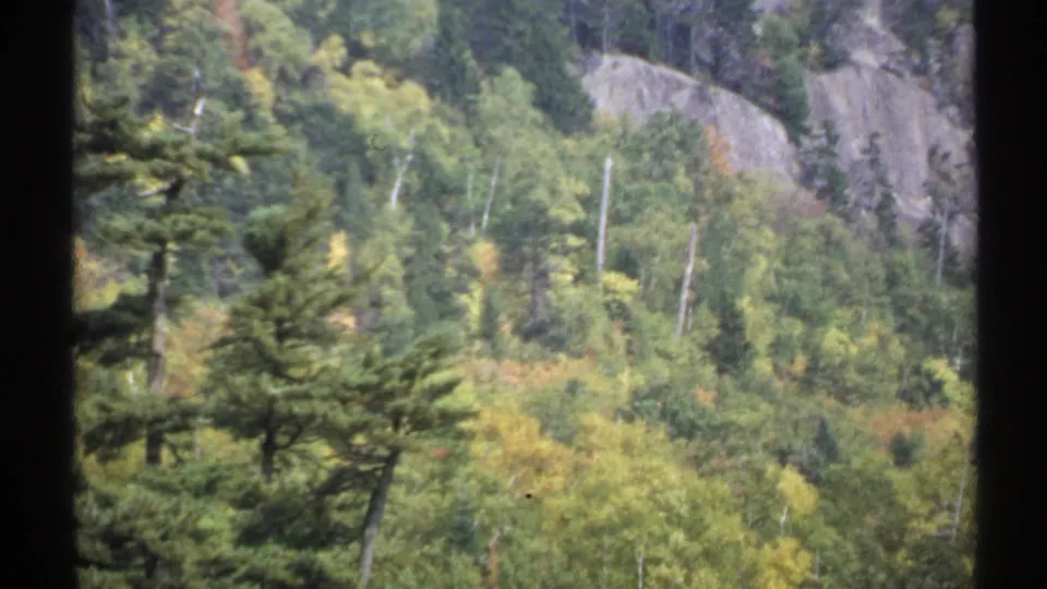 1971 New York home-movie frame of dense forest and exposed rock on a mountainside, seen through dark vertical foreground edges.
