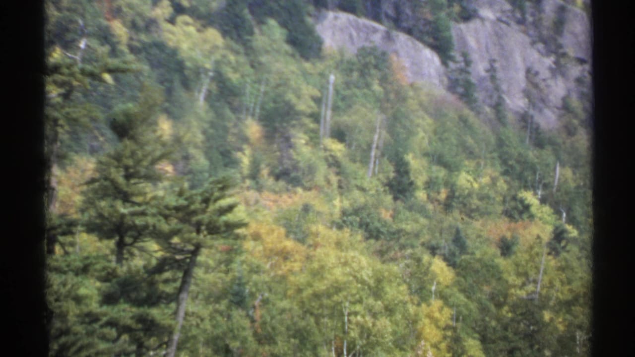1971 New York 8mm frame with soft focus on a forested slope, showing yellow-green trees and gray exposed rock.