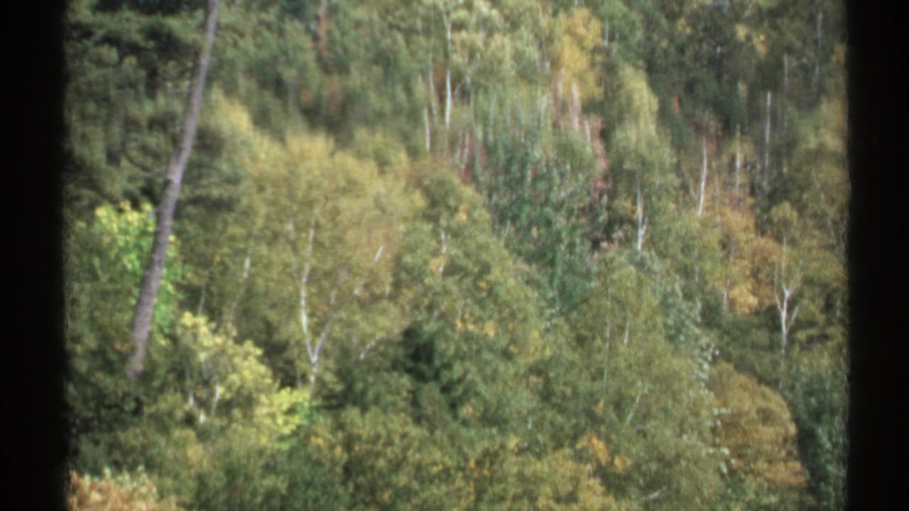 1971 New York 8mm frame showing dense deciduous and evergreen trees on a mountainside with muted autumn tones.